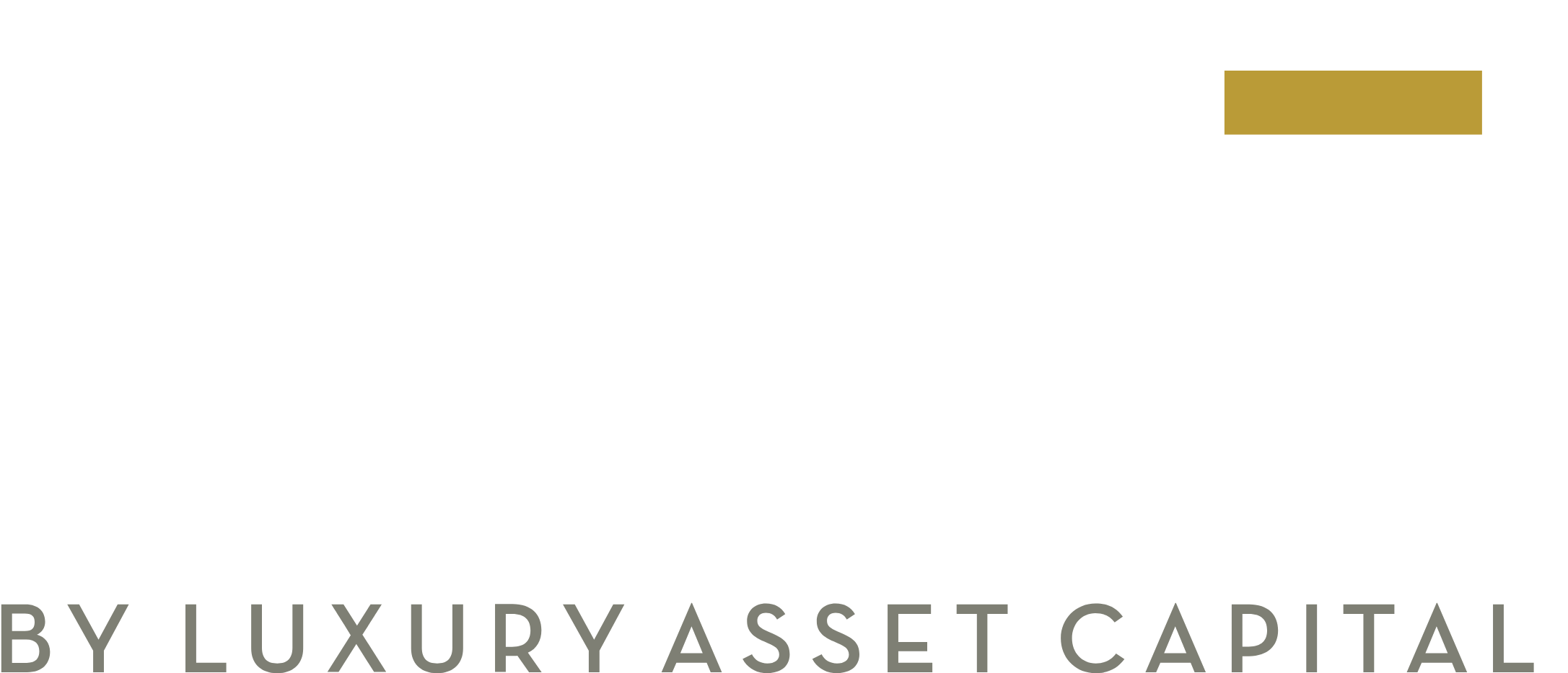 Brand logo with the word 'dorit o' in large white letters, a small tm, and a gold rectangle above, plus 'by luxury asset capital' text below.